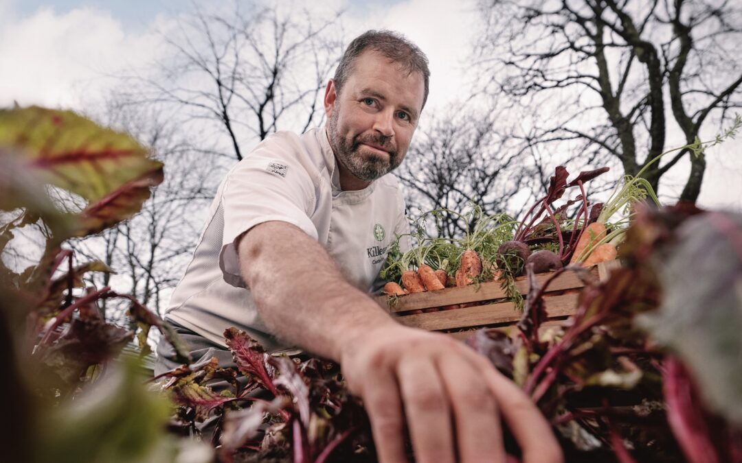 AIB (NI) launches new green and transition loan for businesses