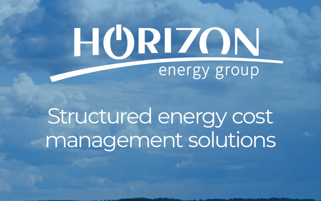 An Introduction to Horizon Energy Group