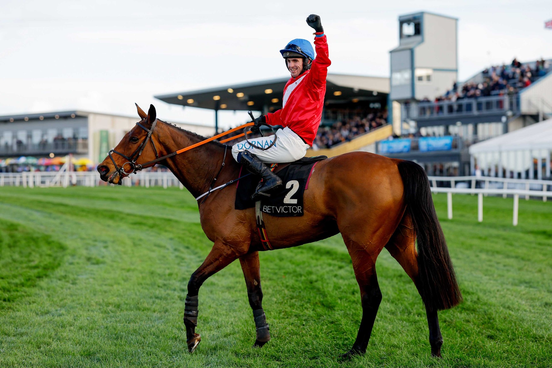 Envoi Allen, National Hunt racehorse legend