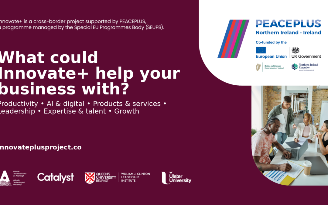 Funded innovation support for SMEs